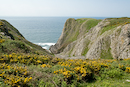 Photographs taken on the South Gower Coast
